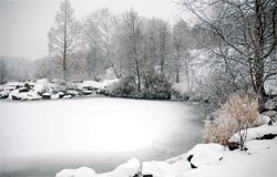 Parc Georges Valbon en hiver