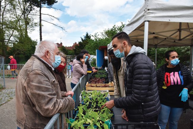 Sauvegarde 93 - Distribution de bons plants - Ville de Stains