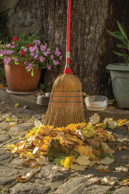 Sécurité - Le ramassage des feuilles - Ville de Stains